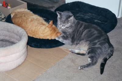 Rusty and Casper